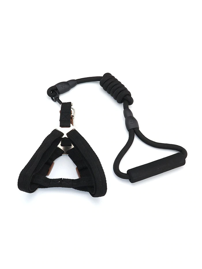 Pet Harness Dog Leash Rope