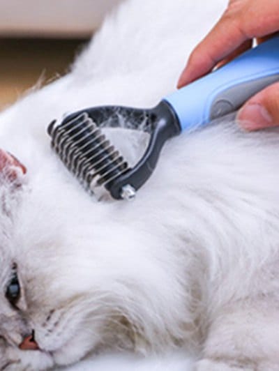 Pet Grooming Dog Hair Removal Comb